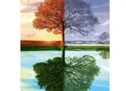 Test Quelle saison es-tu ?