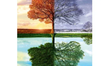 Quiz Test de personnalit�