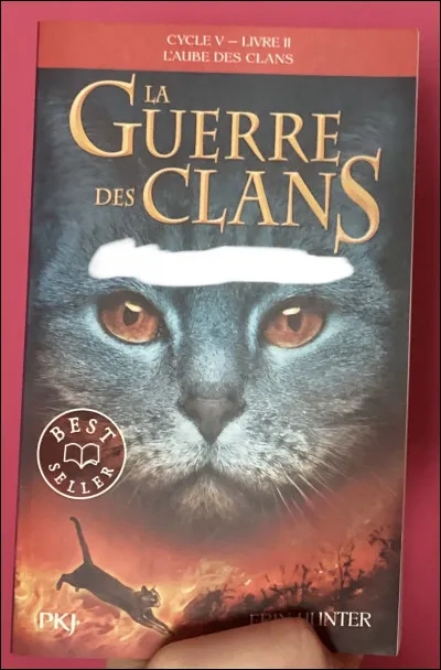 Quel est le titre du tome 2 ?
