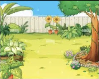 Le dimanche, que fais-tu g&eacute;n&eacute;ralement ?