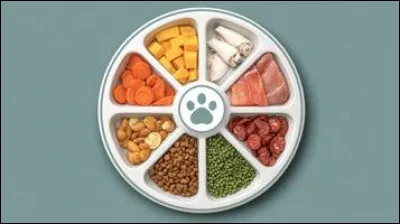 Le p&eacute;lican est...