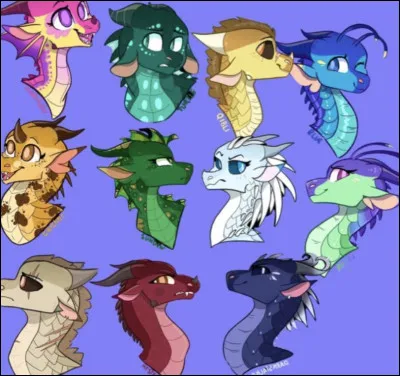 Tout d�abord, quel cycle pr&eacute;f&egrave;res-tu ?