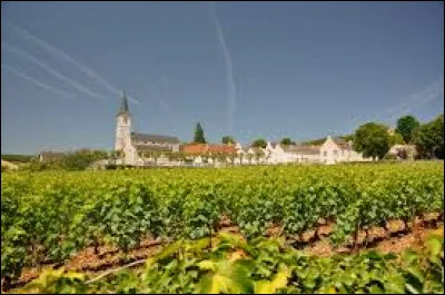 Notre balade d&eacute;marre au milieu des vignes bourguignonnes, &agrave; Aloxe-Corton. Village de l'arrondissement de Beaune, il se situe ...