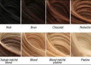 Test Les Myst�rieuses Cit�s d'or