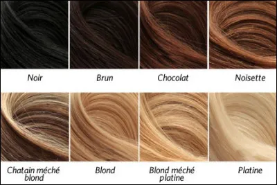 Quelle est la couleur de tes cheveux ?
