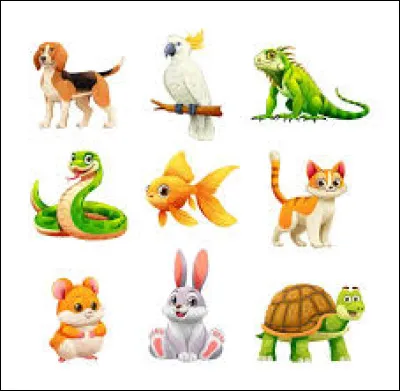 Quel est ton animal pr&eacute;f&eacute;r&eacute; ?