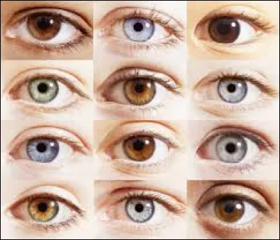Quelle est la couleur de tes yeux ?