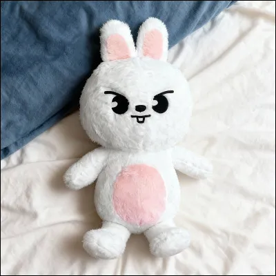 Comment s�appelle cette peluche ?