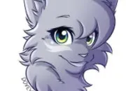 Quiz LGDC : Aile de Colombe