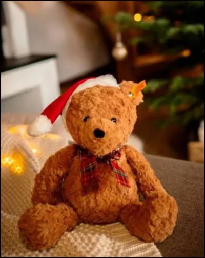 &Agrave; quel homme c&eacute;l&egrave;bre l'ours "Teddy Bear" fait-il r&eacute;f&eacute;rence ?