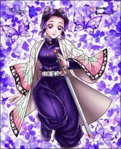 Quel style veux-tu ?