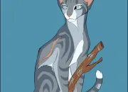 Quiz Quiz sur �il de Geai - LGDC