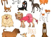 Quiz Races de chien de dessins anim�s � reconnaitre