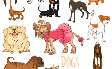 Quiz Dessins anim�s