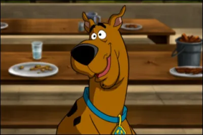 Quelle est cette race de chien ?