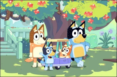 Quelle est la race de ces chiens ?