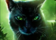 Quiz Connais-tu bien Feuille de Houx dans LGDC ?