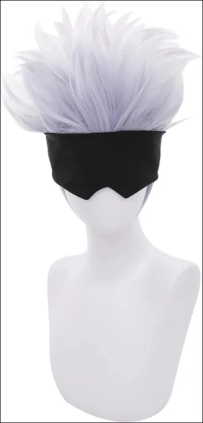 De quel anim&eacute; vient cette coiffure ?