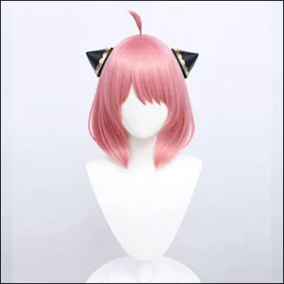 Et de quel manga vient cette perruque ?