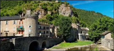 Je vous emm&egrave;ne dans les C&eacute;vennes, &agrave; Meyrueis. Village de l'aarrondissement de Florac, bord&eacute; ou travers&eacute; par l'H&eacute;rault, la Jonte, la Br&egrave;ze et le B&eacute;thuzon, il se situe dans le d&eacute;partement ...