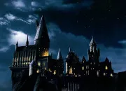 Test � quel personnage de ''Harry Potter'' ressembles-tu le plus ?