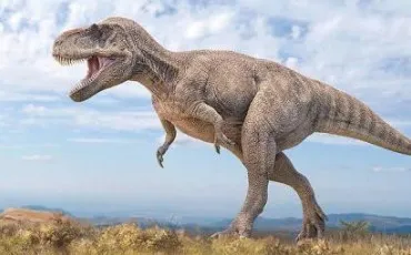 Quiz Notre plan�te