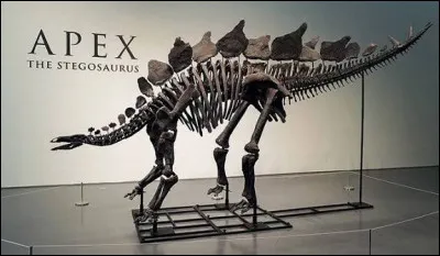 Combien d'esp&egrave;ces de dinosaures connait-on ?