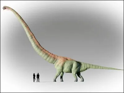 Quel est le dinosaure le plus grand ?