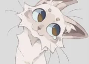 Quiz Ab�c�daire LGDC