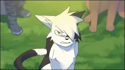 N - Nuage AgileQui est son premier et dernier amour ?