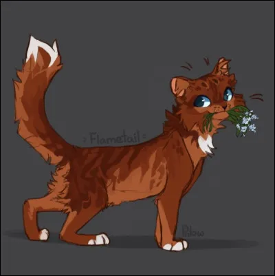 P - Plume de FlammeQui l�a tu&eacute; ?