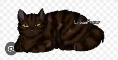 Q - Queue de MoineauQuel est son nom d�ancien ?