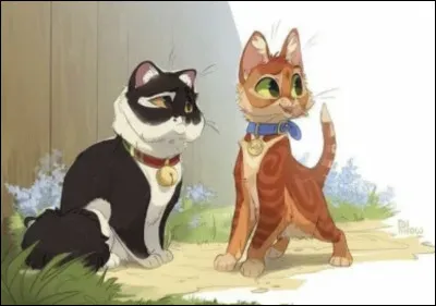 R - RustyQuel est son futur nom ?