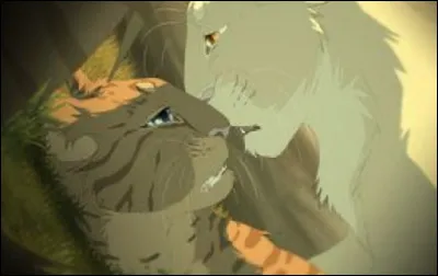 T - Truffe de SureauQue lui est-il arriv&eacute; quand il &eacute;tait chaton ?