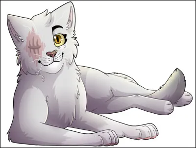 U - Un-�ilM&acirc;le ou femelle ?