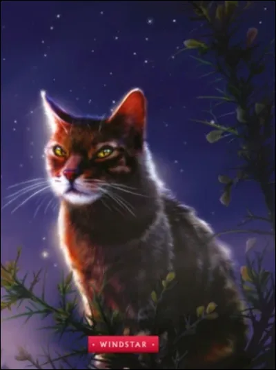 V - Vent VifDe quel Clan est-elle la cheffe ?