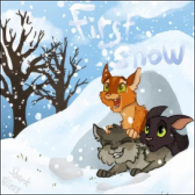 X - personneBonus : Qui est l�autrice de ''La Guerre des clans'' ?