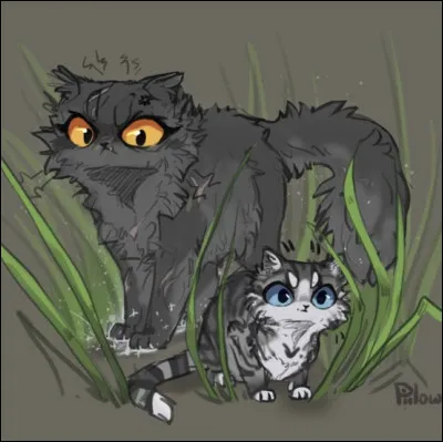 Y - YellowfangQuelle est la traduction de son pr&eacute;nom en fran&ccedil;ais ?