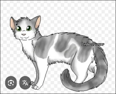 D - Douce BriseCombien a-t-elle de chatons ?