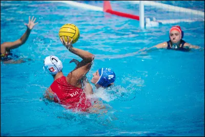 Combien y a-t-il de joueurs dans une &eacute;quipe de water-polo ?