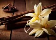 Quiz Secrets de vanille