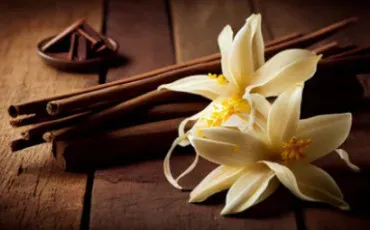 Quiz Culture g�n�rale