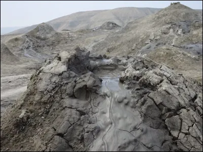 Les Ailes de Boue : Quelles sont les couleurs de leurs &eacute;cailles ?