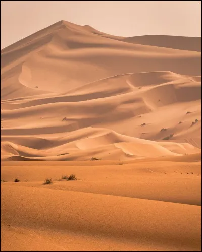 O&ugrave; se situe le d&eacute;sert d'Atacama ?