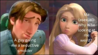 Raiponce finit avec en ancien hors la loi :