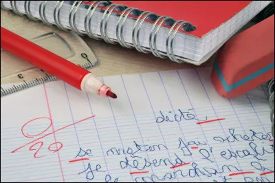 Quel est l'article d&eacute;fini f&eacute;minin singulier en fran&ccedil;ais ?