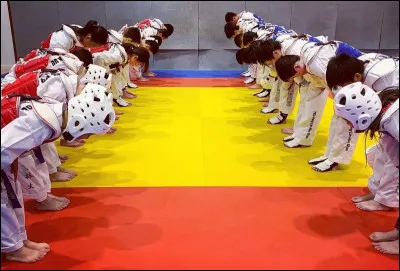 Quel art martial japonais est reconnu comme utilisant des techniques de projection et de contr&ocirc;le au sol ?