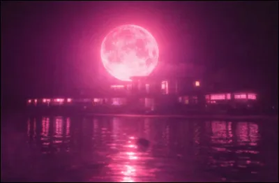 Quel est le th&egrave;me principal de Moonstruck ?