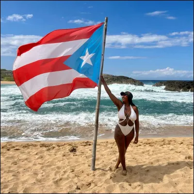 &Agrave; qui appartient ce drapeau ?