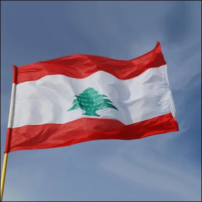 &Agrave; quel pays appartient ce drapeau ?